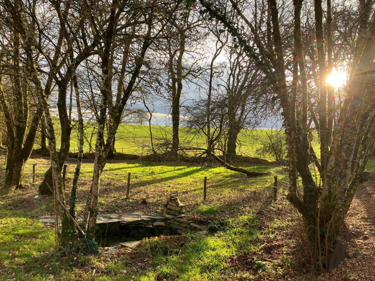 Cottage Breton - Gite De Charme En Centre Finistere Plonévez-du-Faou المظهر الخارجي الصورة